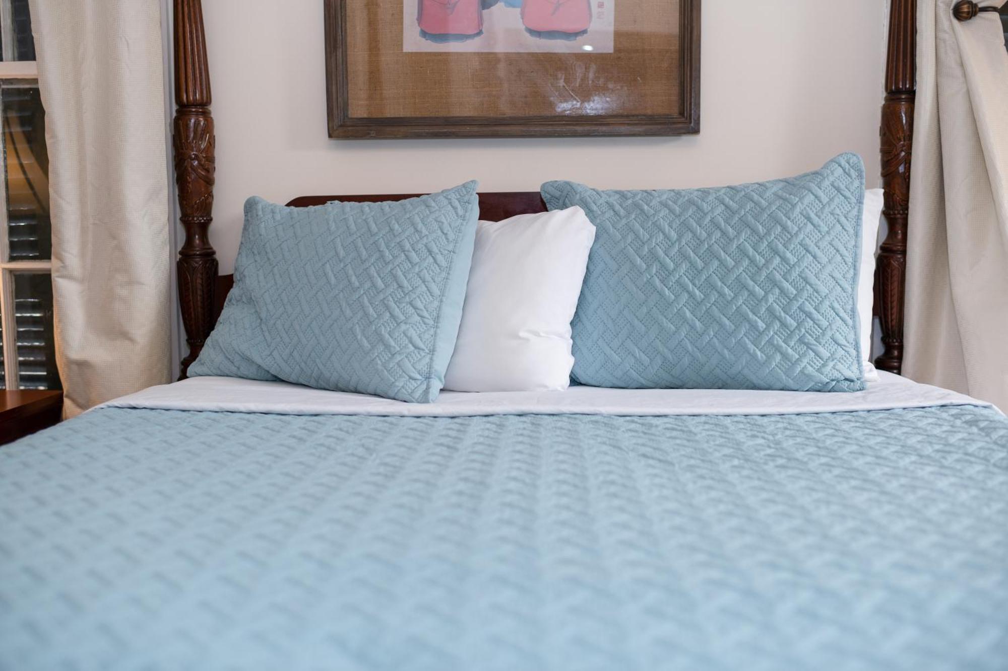 The Esplanade Guesthouse Mansion New Orleans Phòng bức ảnh
